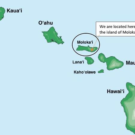 Molokai Island Retreat With Beautiful Ocean Views And Pool - Newly Remodeled! Ualapue Exterior foto