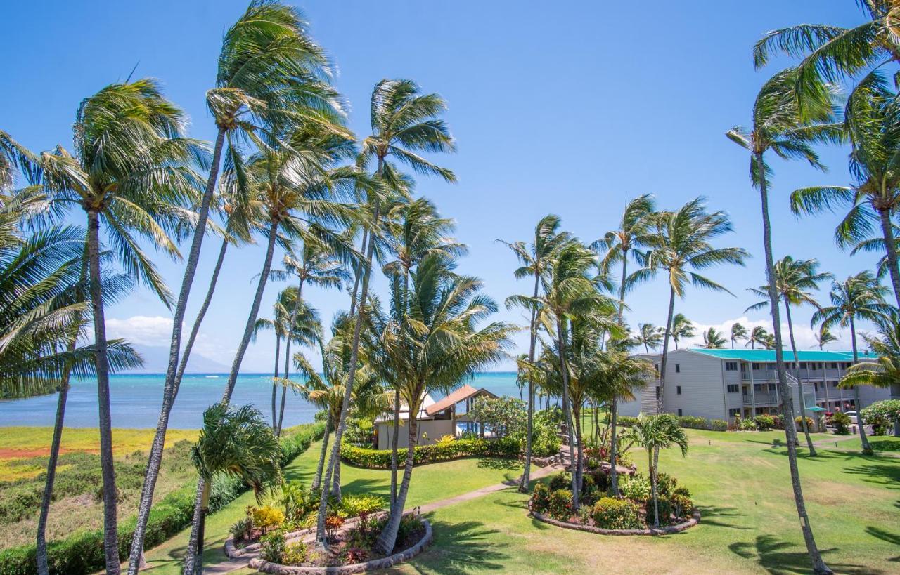 Molokai Island Retreat With Beautiful Ocean Views And Pool - Newly Remodeled! Ualapue Exterior foto