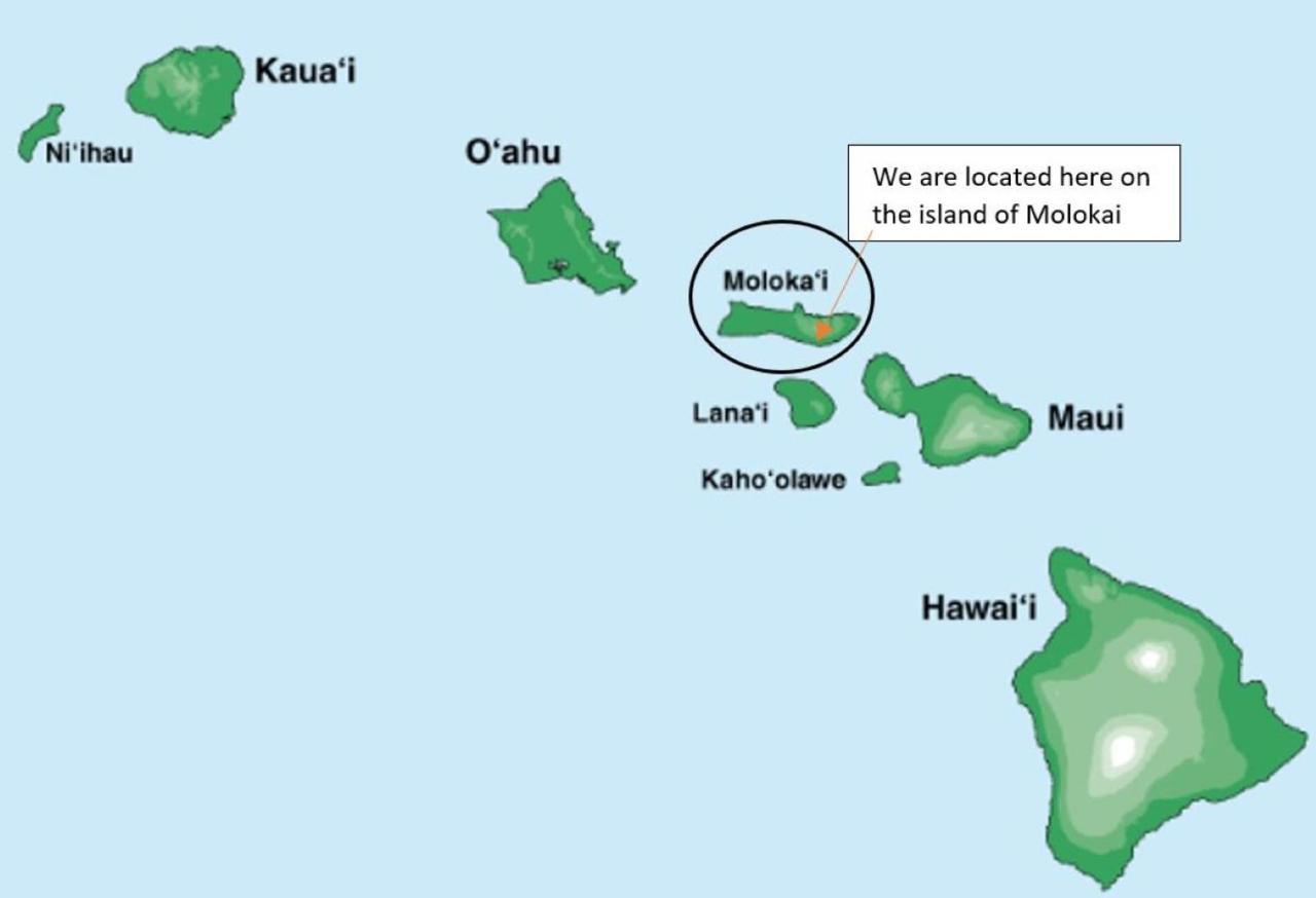 Molokai Island Retreat With Beautiful Ocean Views And Pool - Newly Remodeled! Ualapue Exterior foto